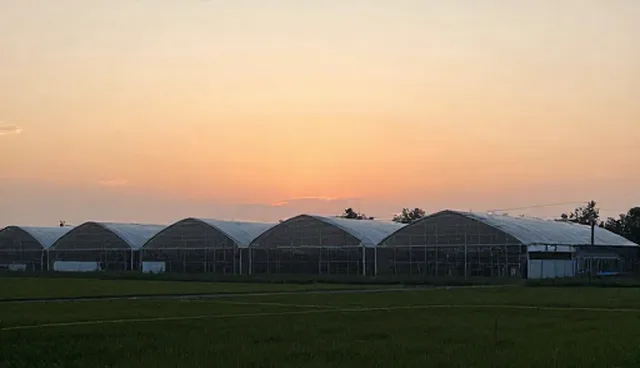 行业资讯展示中的常见误区及正确选择依据